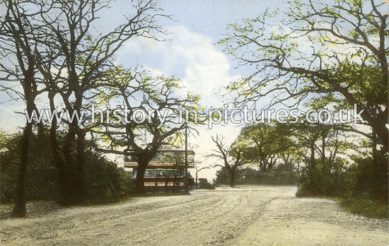 James Lane junction Whipps Cross Road, Leytonstone, London, c.1914